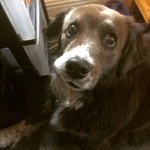 Meet your Posher, Jenn